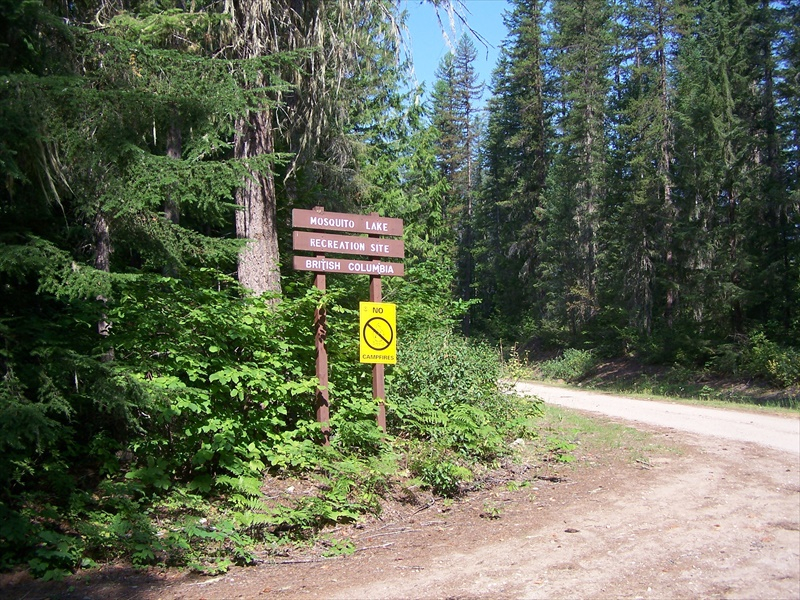 Site Sign