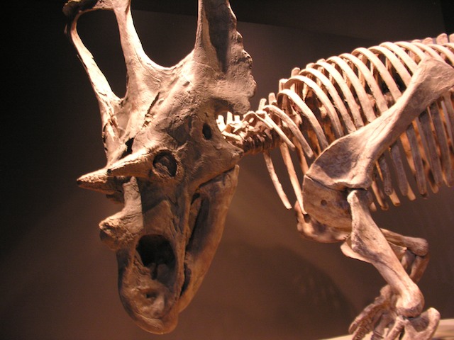 Dinosaur Provincial Park, Alberta