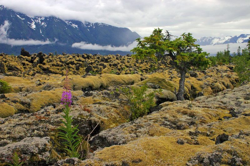 Nisga’a Memorial Lava Bed Park.