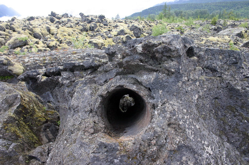 Tree mould in Nisga’a Memorial Lava Bed Park.