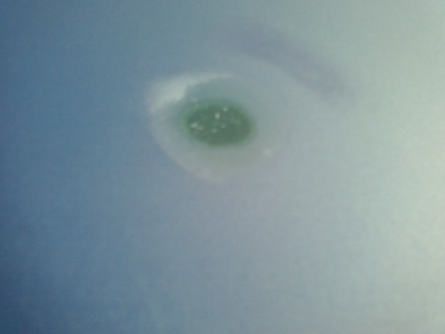 yet another hole.jpg
