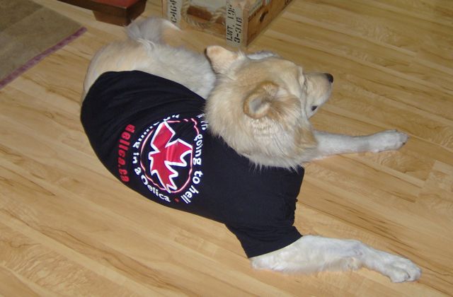 Kona going to hell.jpg