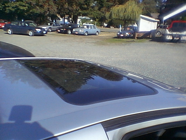 IMGA7786.JPG