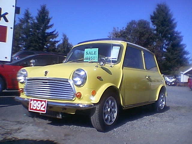 IMGA7772.JPG