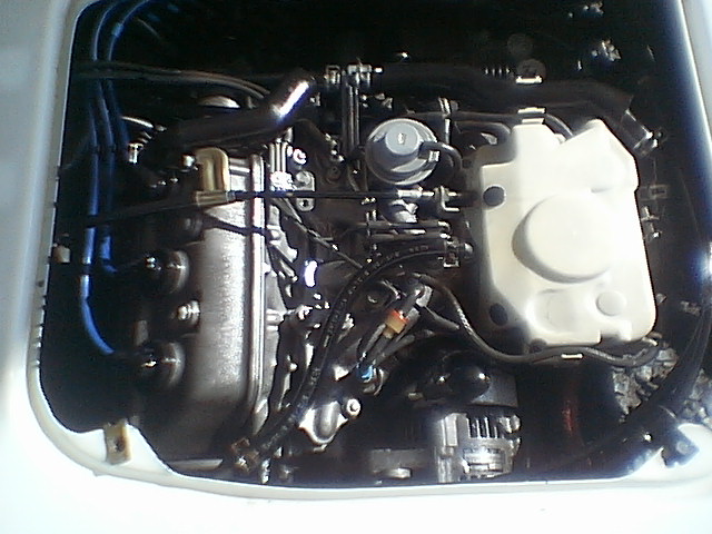 IMGA7781.JPG