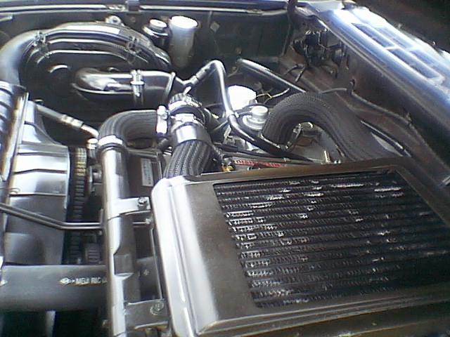 IMGA7805.JPG