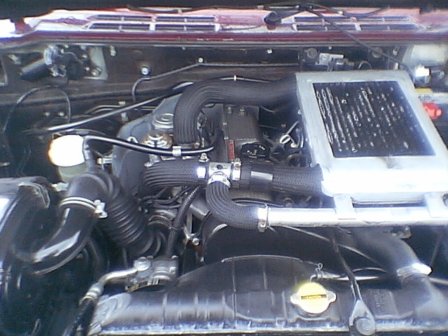 IMGA7806.JPG