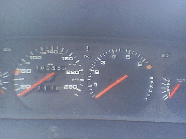 IMGA7807.JPG