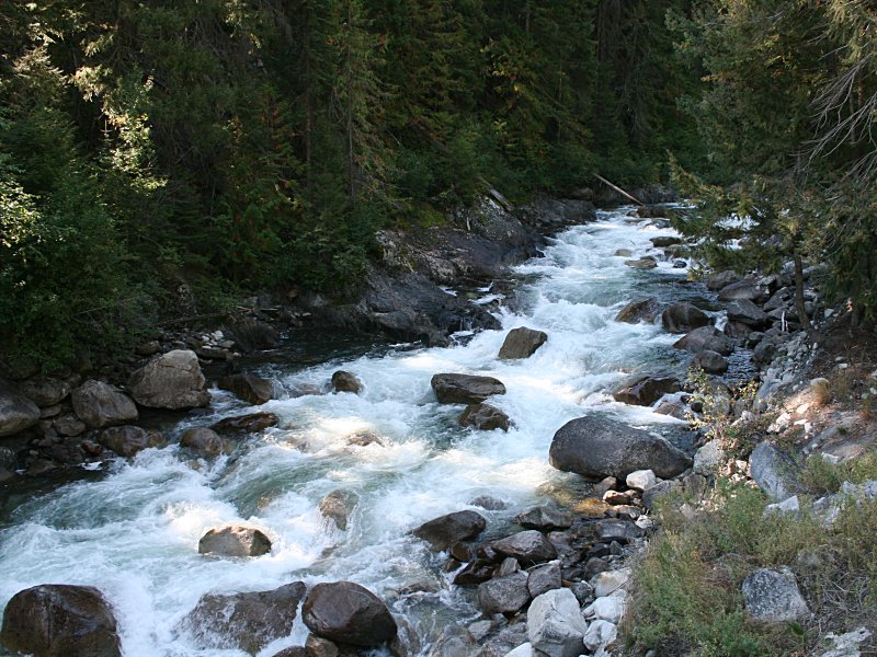 Cayoosh Creek.