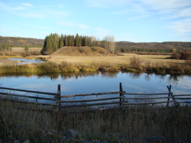 Fall coloured landscape