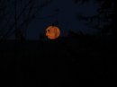 Harvest Moon