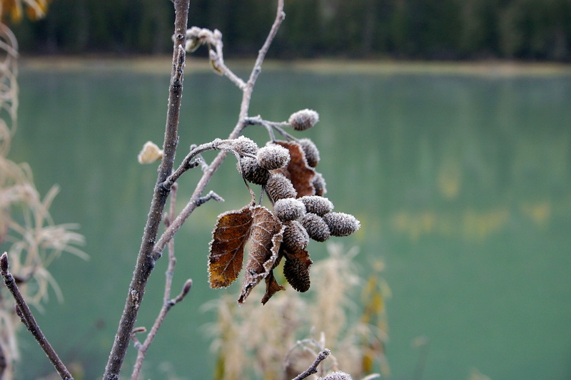 IMG_3484_resize.JPG