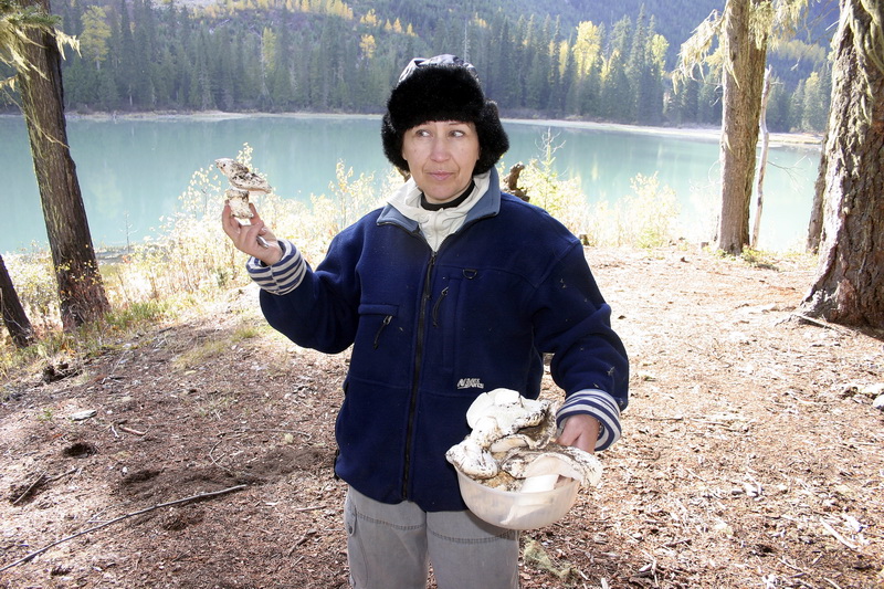 Pine mushrooms hunter Sima with trophies.