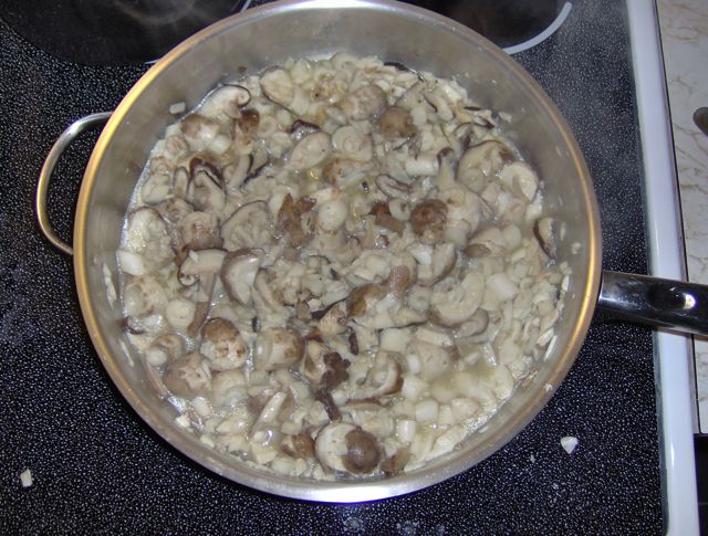 shaggy manes2.jpg