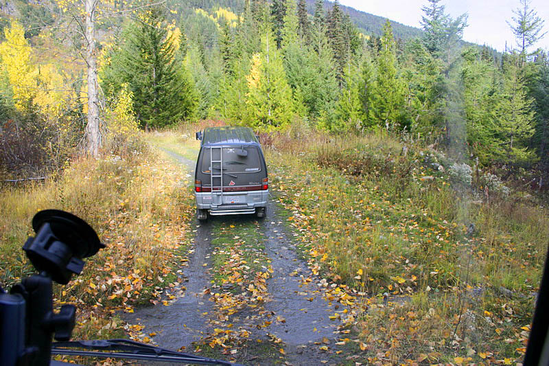 Miss Lil' Bitchi in action. Rear view.