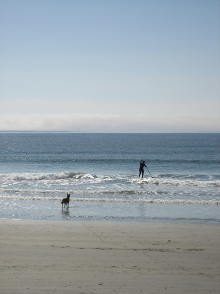 IMG_4314.jpg