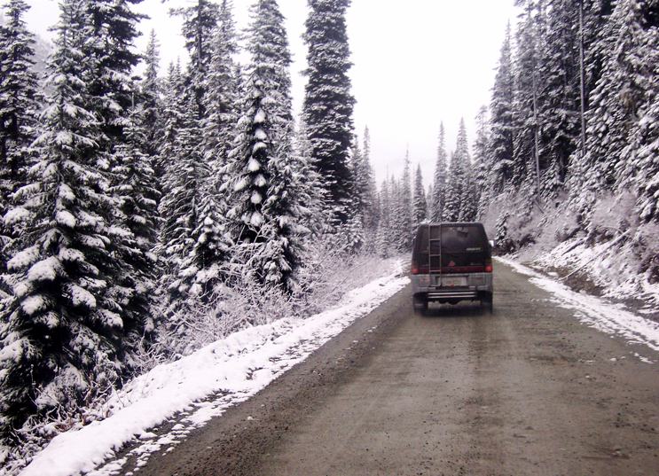 Picture 6.jpg
