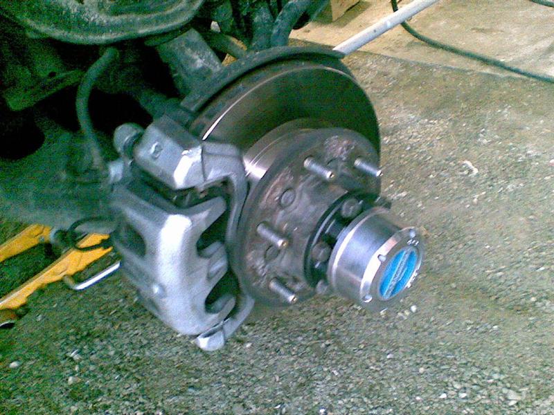 029gd3 (Medium).jpg