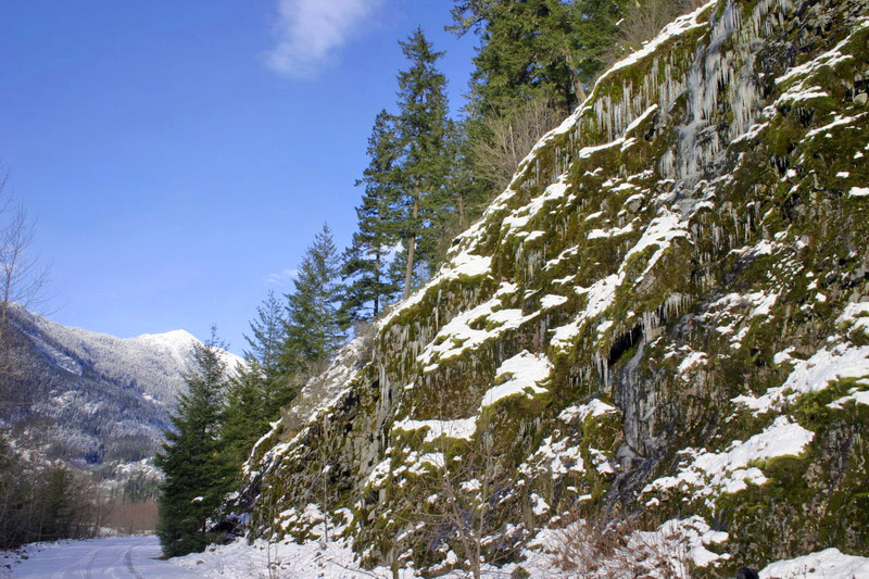 IMG_4041_resize.JPG