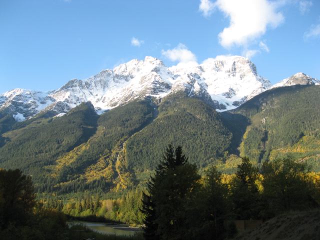 delicoola4.jpg