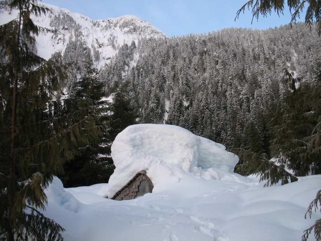 snow4.jpg