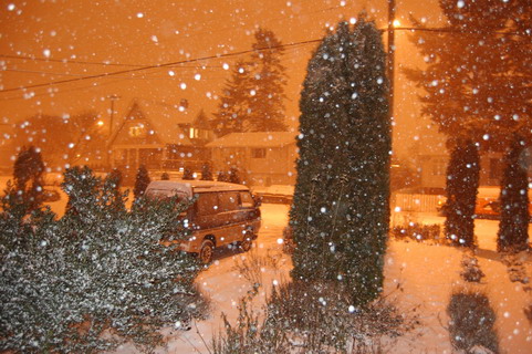 DSC_4997.JPG