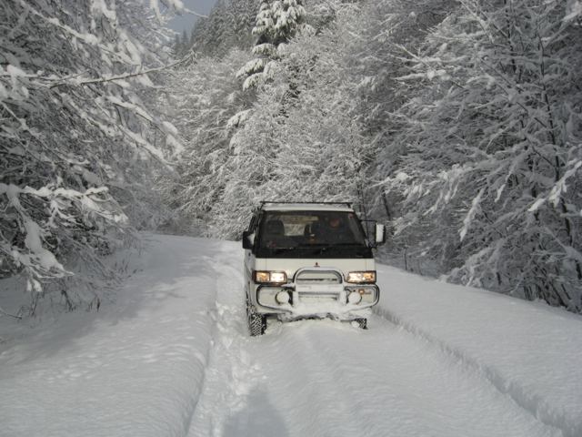 snow day 030.jpg