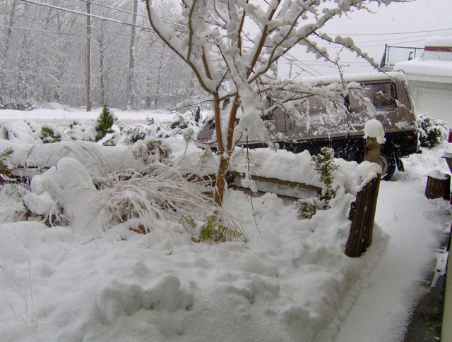 snow7.jpg