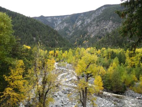 river.jpg