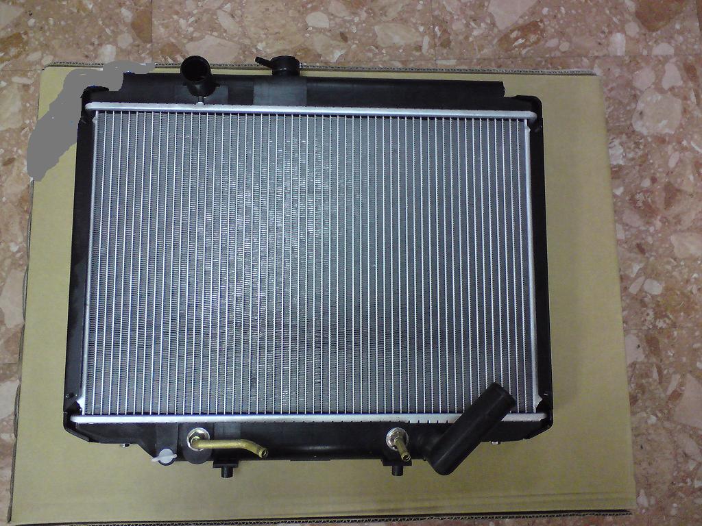 L300 (2).JPG