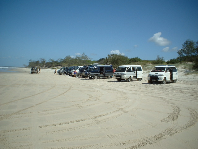 Bribie2.jpg