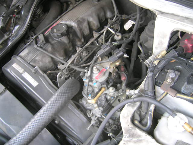 DSCN6786.JPG
