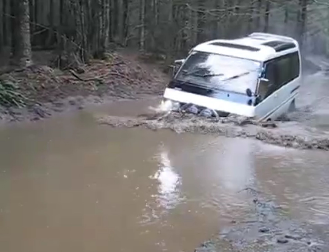 Mud bath.jpg
