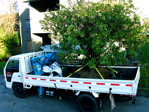 Mobile garden.jpg