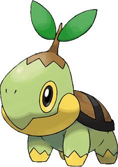 Turtwig.jpg