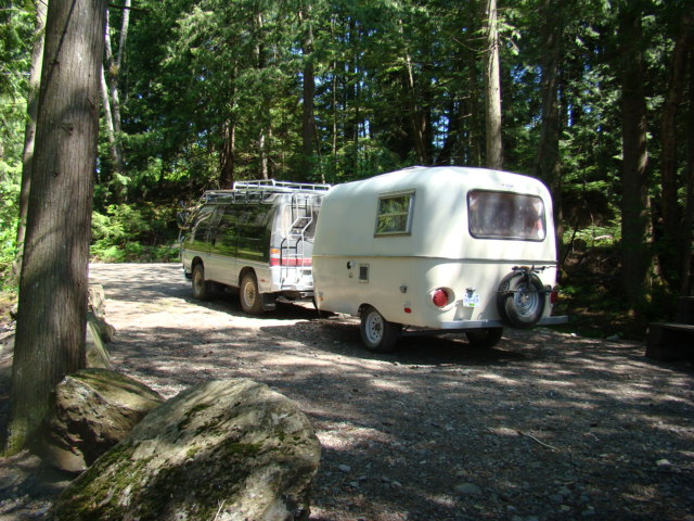 into the forrest3.JPG