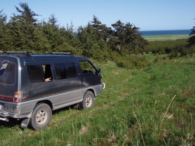 East Beach, Haida Gwaii