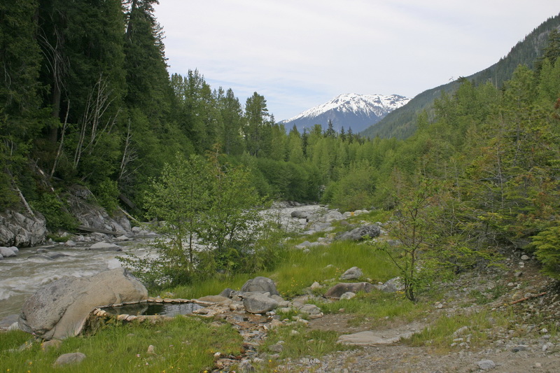 IMG_5067_resize.JPG