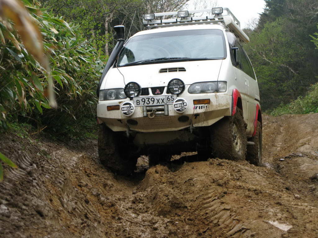 my delica