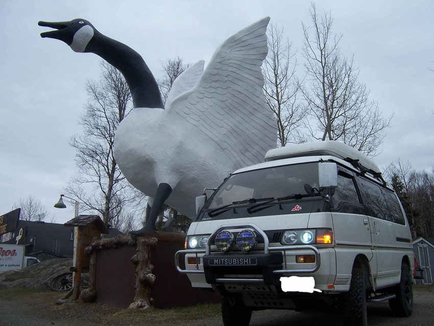 100_8955.jpg