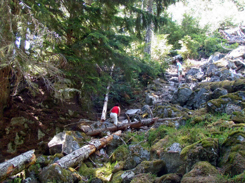 P7010720_resize.jpg