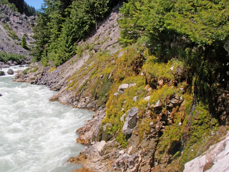 P7010714_resize.JPG
