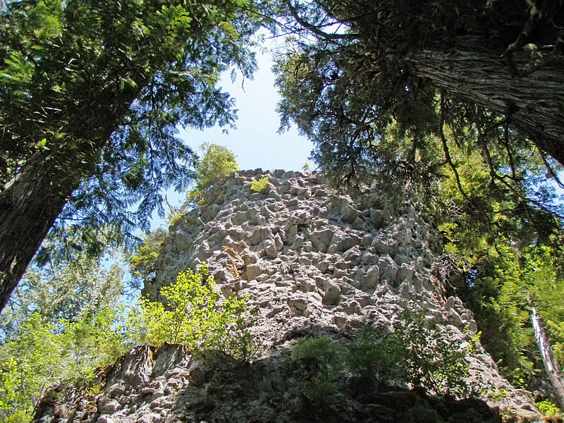 P7010701_resize.JPG