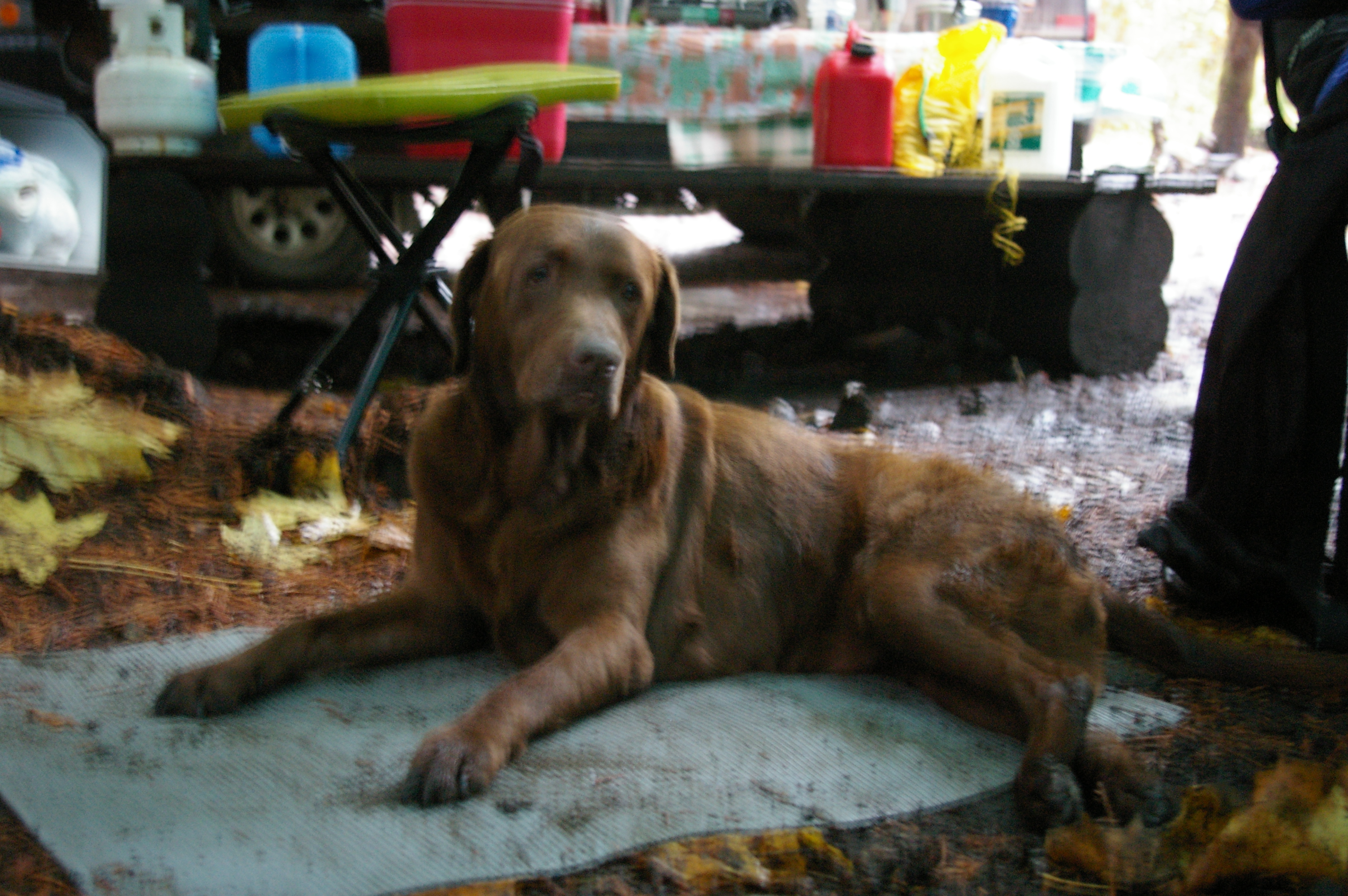 IMGP2361.JPG