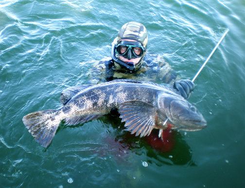 25 lb Ling shot at 18 metres.