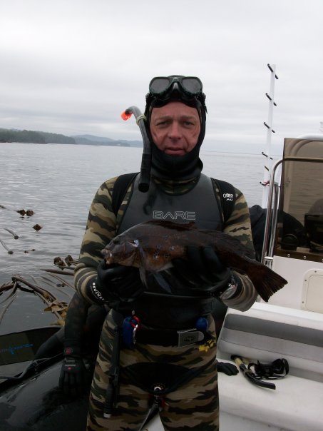 Kelp Greenling