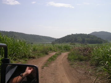 The cane fields in the caldera