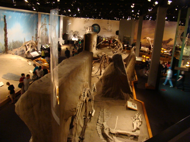 RTM gallery.JPG