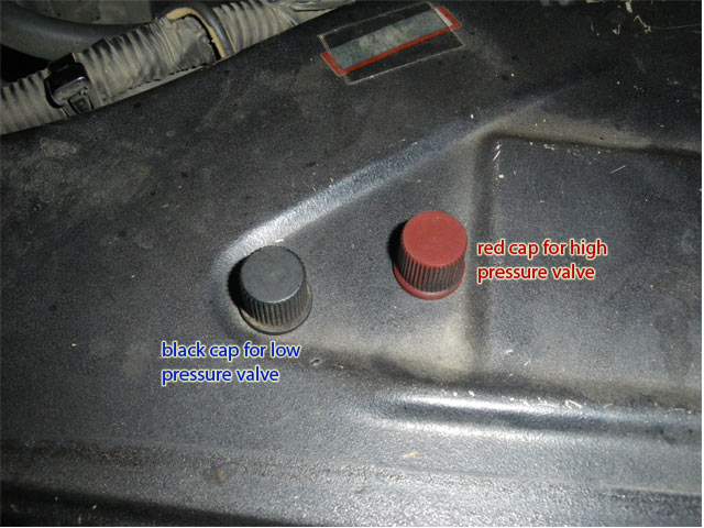 deliAC02.jpg
