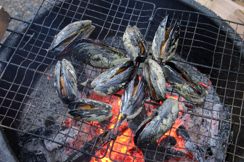 IMG_6726_mussels.JPG